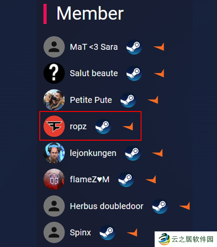 Vitality训练群成员中已有ropz